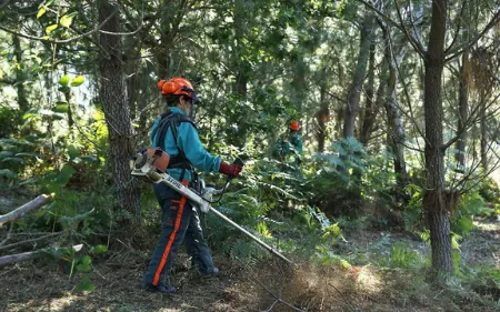 desbrocesdefincasyparcelasbaratosenNavarra Pamplona 455w